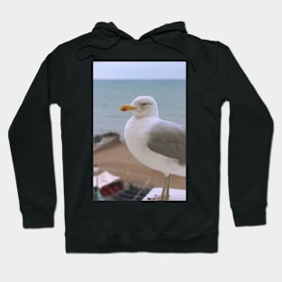 Seagull Hoodie